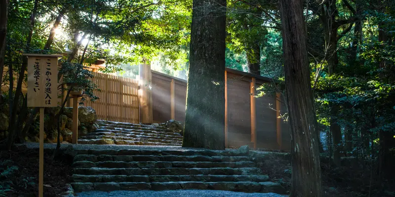 shutterstock 612200888.jpg